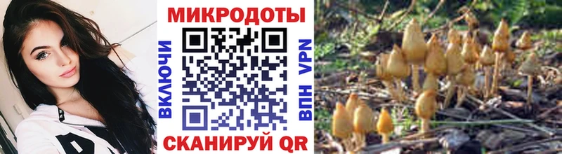 Галлюциногенные грибы GOLDEN TEACHER  Лениногорск 